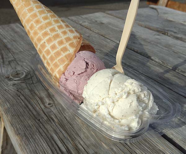 Big Dipper - Huckleberry ice cream & cardamom ice cream