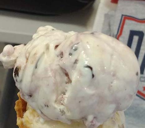 Cornell Dairy Bar - Bavarian Fudge ice cream